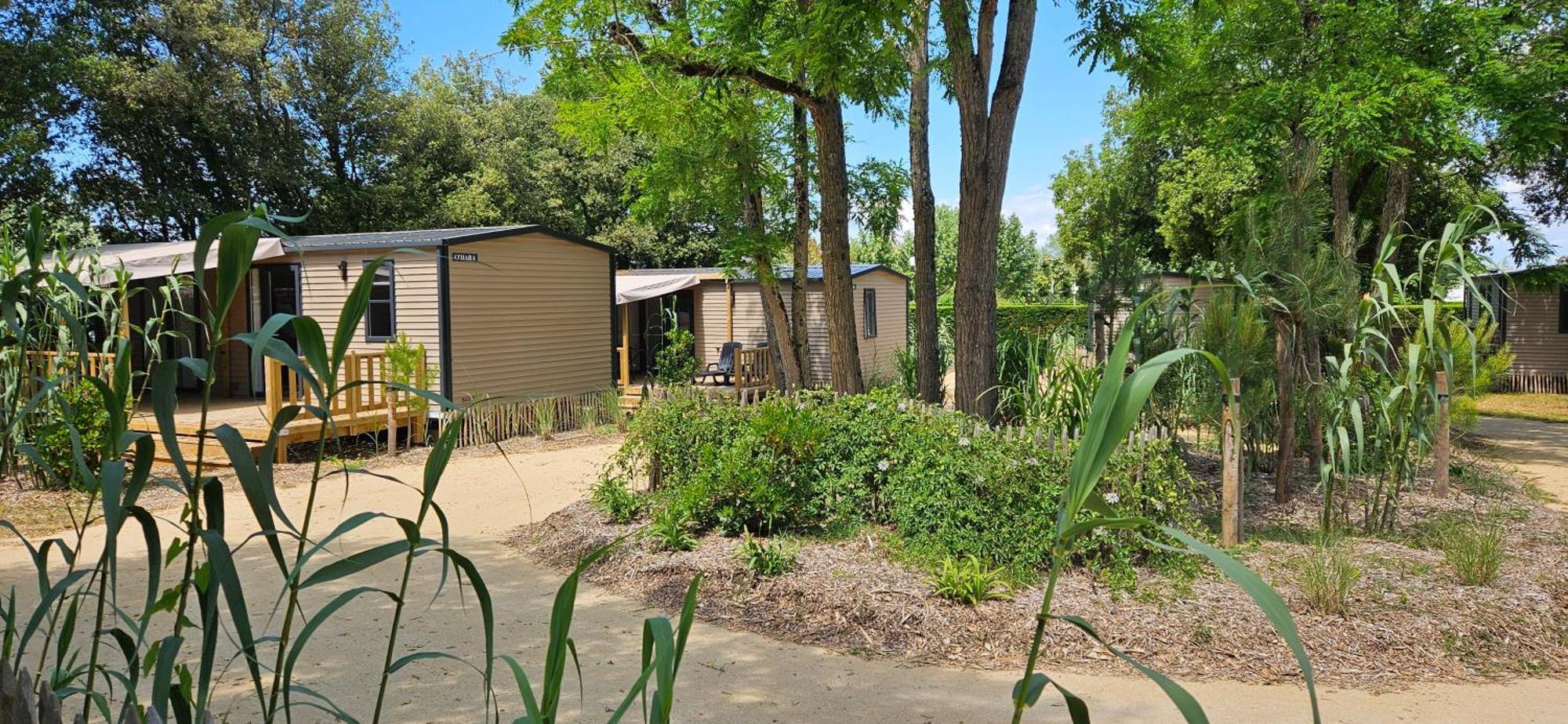 Camping Le Bois Verdon سان جان دي مونت المظهر الخارجي الصورة