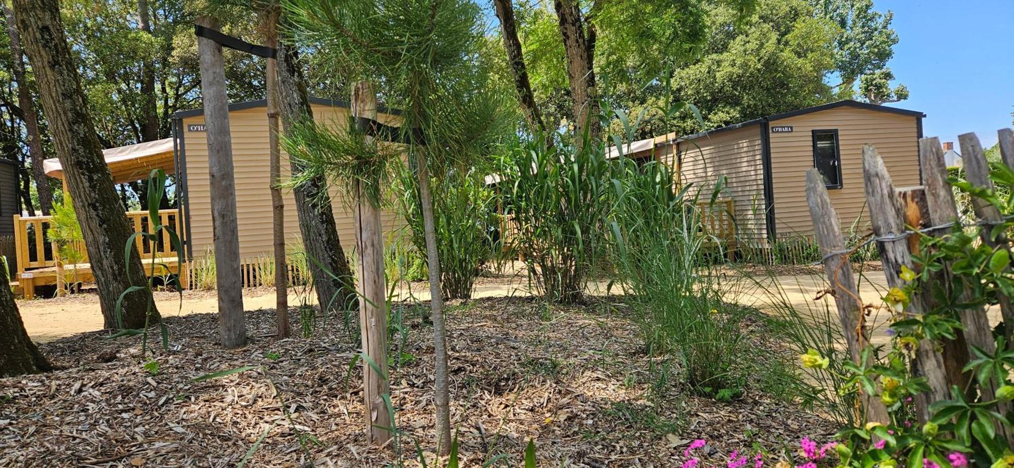 Camping Le Bois Verdon سان جان دي مونت المظهر الخارجي الصورة