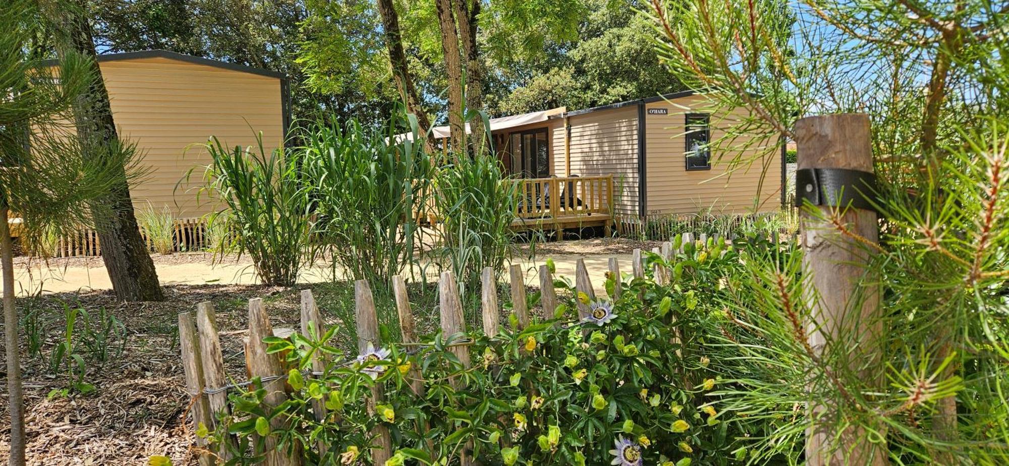 Camping Le Bois Verdon سان جان دي مونت المظهر الخارجي الصورة