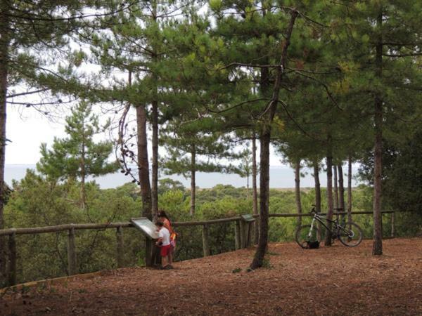 Camping Le Bois Verdon سان جان دي مونت المظهر الخارجي الصورة